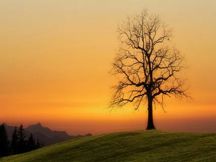 EFT Tapping Meditation: Positive Affirmations - Evenings