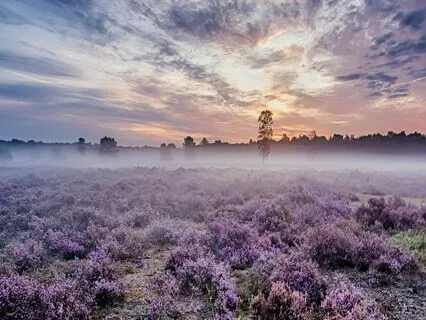 EFT Tapping Meditation: Positive Affirmations - Mornings