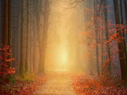 EFT Tapping Meditation: Releasing Pent-Up Emotions