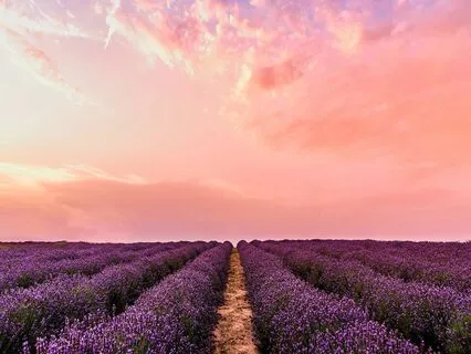 EFT Tapping Meditation: Tapping For Overwhelm