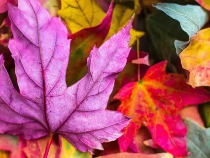EFT Tapping On Embracing Change