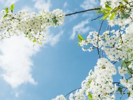 EFT Tapping On Fear Of The Unknown