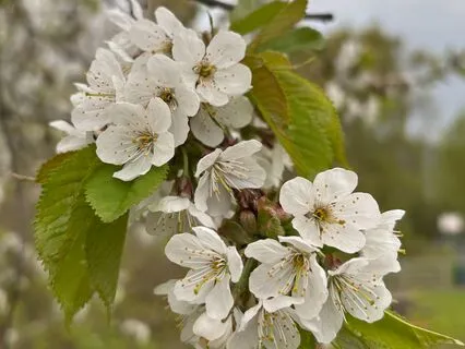 EFT Tapping On Receiving Without Guilt