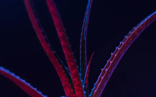 EFT Tapping On Sugar Cravings