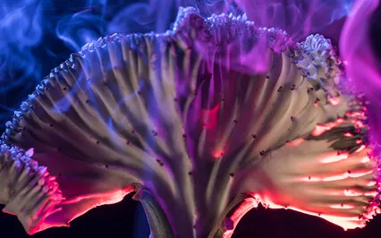 EFT Tapping-Releasing The Need To Scroll Through My Phone