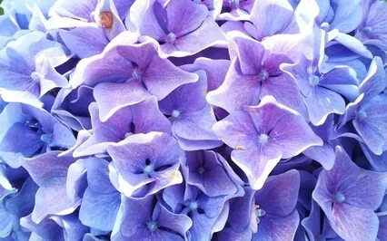 EFT - Tapping To Be More Open To Life’s Blessings