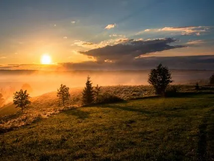 EFT/Tapping To Move From Overwhelm To Peace & Gratitude