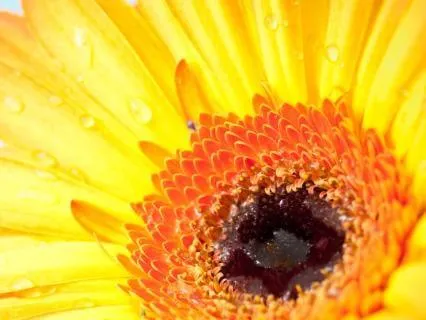 EFT Tapping To Open To Joy: Release What's Holding You Back