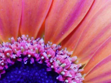 EFT Tapping To Release The Habit Of Overlooking What Is Good