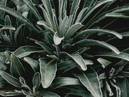 EFT Tapping To Remove Scarcity Mindset