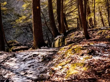 EFT Tapping To Work Through Health Anxiety & Hypochondria