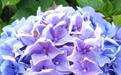 EFT - Tapping With Affirmations For Serenity & A Calm Mind