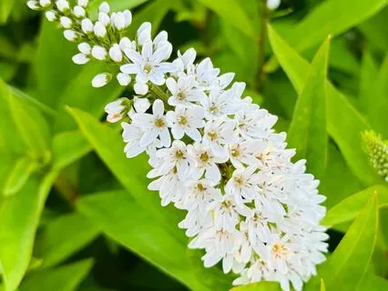 EFT Tapping With Reiki Affirmations