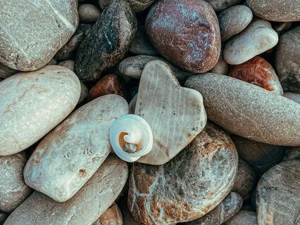 Ego And The Views That Protect It