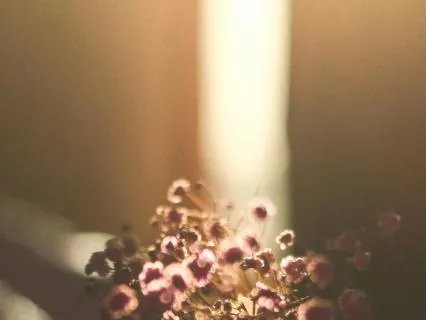 Ego Dissolution: Entering Absolute Inner Freedom