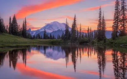 Egoism Is The Violence Taking Place All Over The World