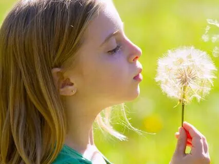 Eight Cousins (Bedtime Story) Part 10