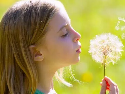 Eight Cousins (Bedtime Story) Chapter 11