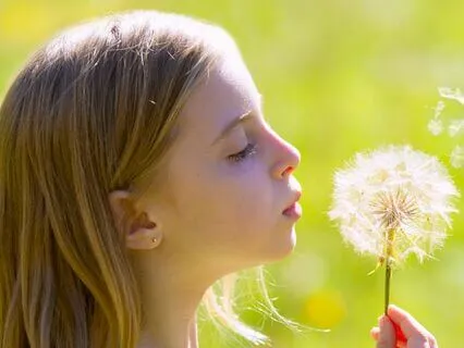 Eight Cousins (Bedtime Story) Chapter 17