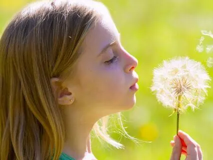 Eight Cousins (Bedtime Story) Chapter 18