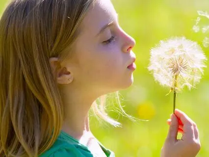 Eight Cousins (Bedtime Story) Chapter 19