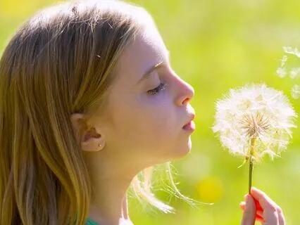 Eight Cousins (Bedtime Story) Chapter 20