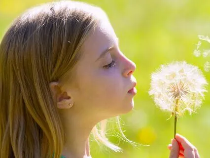 Eight Cousins (Bedtime Story) Chapter 23