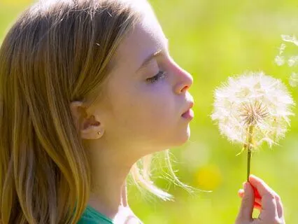 Eight Cousins (Bedtime Story) Part 8