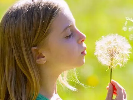 Eight Cousins (Bedtime Story) Chapter 9