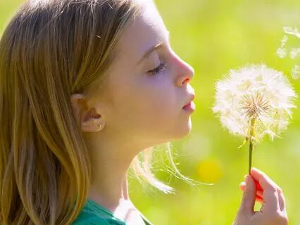 Eight Cousins (Bedtime Story) Part 1