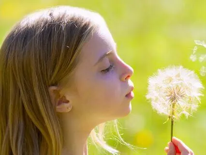 Eight Cousins (Bedtime Story) Part 13