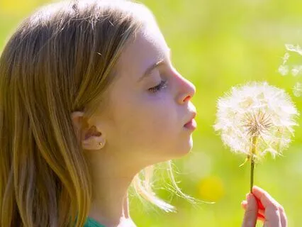 Eight Cousins (Bedtime Story) Part 3