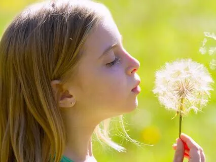 Eight Cousins (Bedtime Story) Part 4