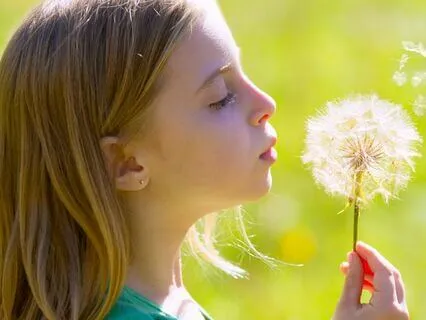 Eight Cousins (Bedtime Story) Part 6