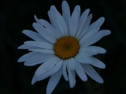 Eight Hours Of Rest And Renewal: Poem And Sleep Meditation