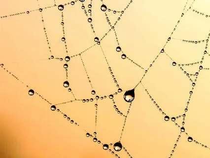 Eight Stanzas On The Guru