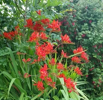 Ek Ong Kar Sat Gur Prasad