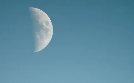 EKIM text och reflektion s 310 stycke 5