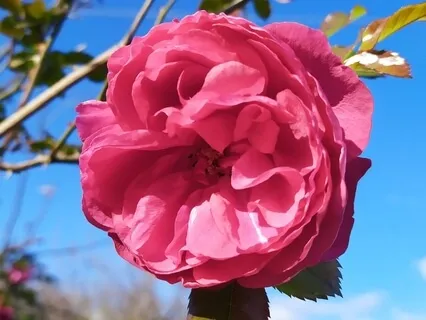 Эко Медитация