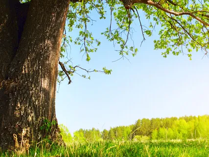 Экспресс-практика избавления от стресса