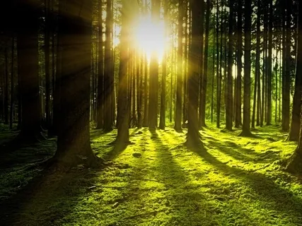 El Mantra Para Rendirse al Poder del Universo