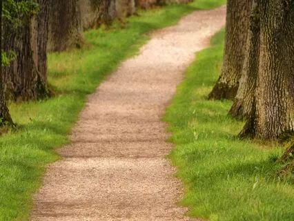 Elara's Journey: A Sleep Story Of Adventure And Tranquility