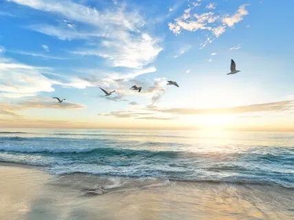 Election Blessing & Nervous System Support