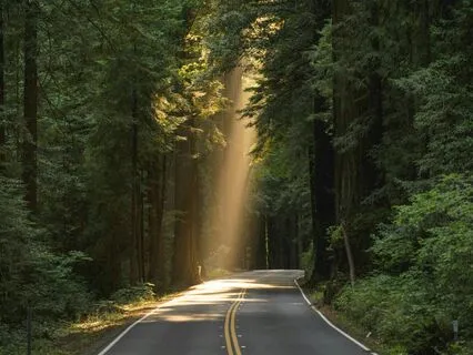 Election Sanity Saver 1: Learning From Our Tendencies