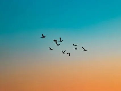 Election Sanity Saver 3: Showing Up And Bearing Witness