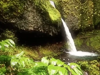 Electro-Sitar Lounge