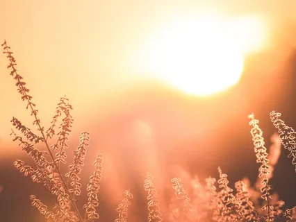 Electronic Flute Meditation Track For Grounding And Movement