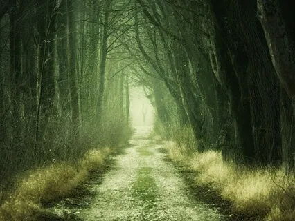 Elemental Clarity Music Meditation For Stress Relief