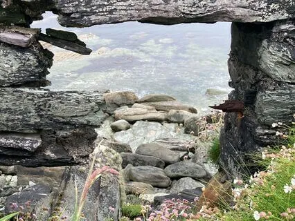 Elemental: Connecting To Life