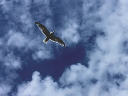 Elemental Magic Series: Air